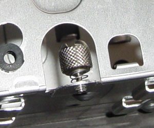 231
