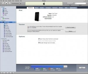 itunes-manuallymanage itunes-manuallymanage